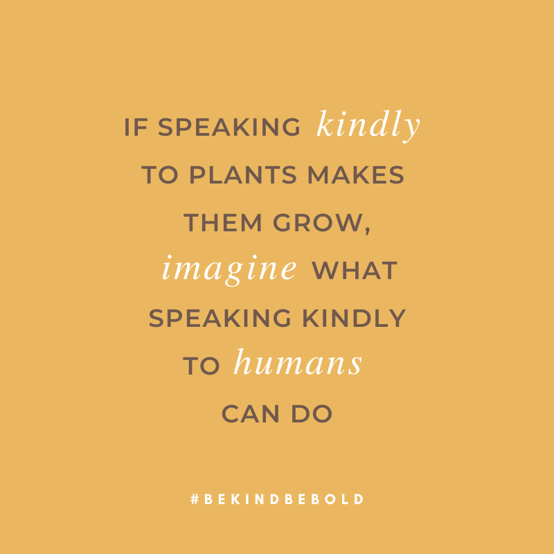 bekindbebold's tweet photo. Just imagine... ✨ https://t.co/dKJTtnRdgh