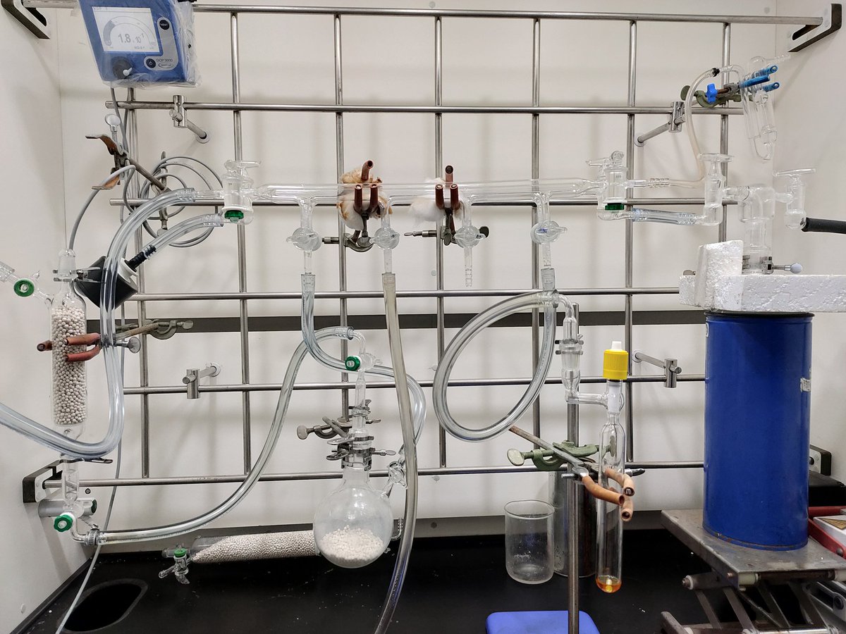 Setup for hydrogen activation reaction using air and moisture sensitive compounds #maingroupchemistry #airsensetive #moisturesensitive #H2activation #schlenkline