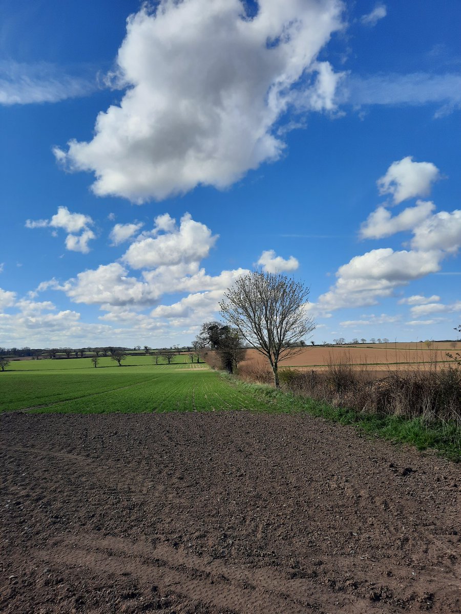 Been out twice in last three days cycling Norfolk's rural roads .