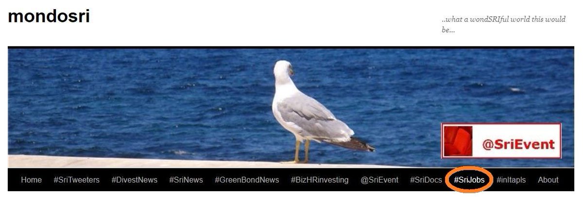 andytuit's tweet photo. #SriJOBS - Weekly roundup of #jobopp in the #sustainablefinance space 
✅ @EC_magazine 
✅ @IIXglobal 
✅ @ImpactInvInst 
✅ @TheSocialInvest v @nicktemple1 
https://t.co/9MubA6uVap 
#sri #esg #impinv #sustainablefinance #responsibleinvestment #jobs #hiring #jobopening https://t.co/PIoeHkGvr4