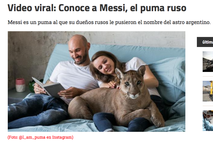 саша маша пума месси. пума месси новости. девушка пума. пума месси хозяева. мария дмитриева пума месси.