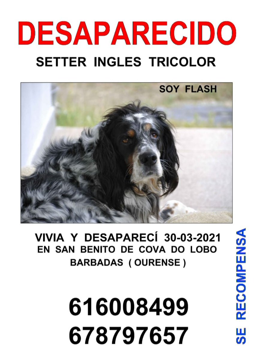 Flash ha desaparecido en la provincia de Ourense.