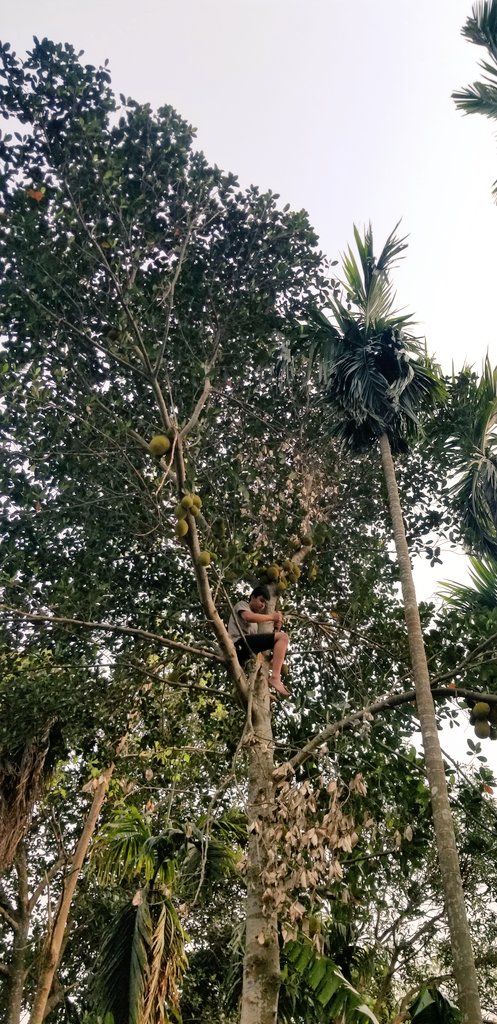 JKalapremy's tweet photo. कटहरको पकौडा पनि गजब मिठो हुने रै,छ गाईज! 😋🤪 https://t.co/l3RthWQLgC