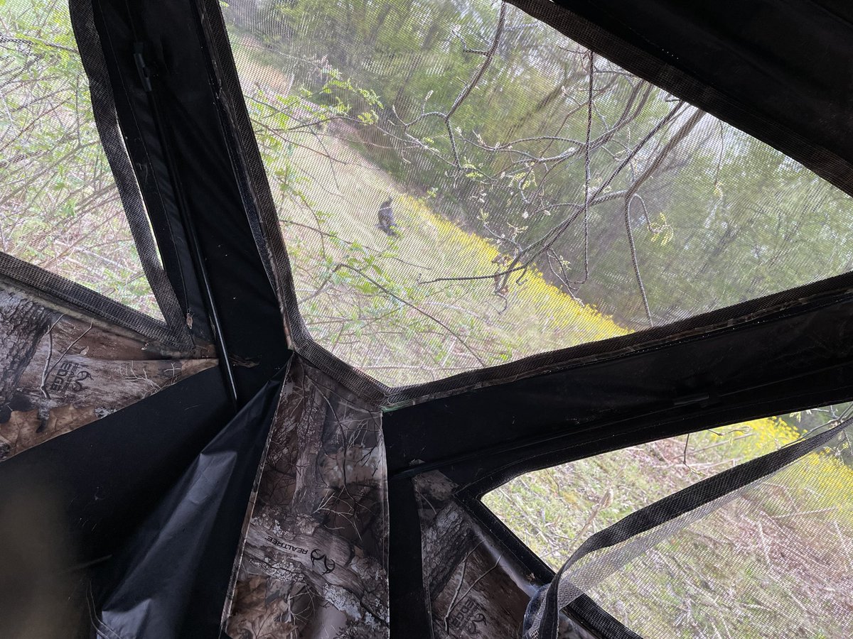 CoachTDEHS's tweet photo. Well we didn’t have any luck this opening day but very happy to spend some time in the woods with my sons and teaching them about the woods! #ChasingThunder #FatherSonTime https://t.co/wZyKzEJOKQ
