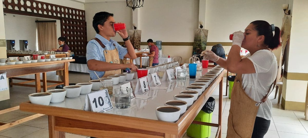 cupofexcellence's tweet photo. The Nicaraguan National Team just finished cupping through the last round of evaluation and have passed 35 coffees on to the International stage. 

Stay tuned for more updates and in the meantime, pre-order sample sets of the winners. 

https://t.co/GdbS2tfjuH https://t.co/dQuhNjMjpb