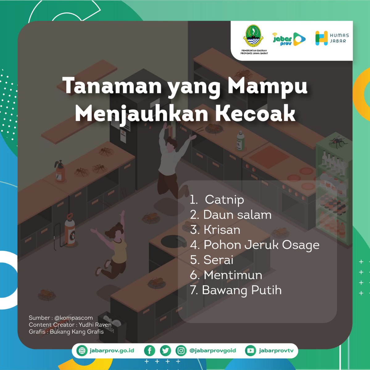 jabarprovgoid's tweet photo. Kecoak adalah salah satu hewan yang sangat sulit untuk disingkirkannya 🤕
.
Selain menggunakan semprotan serangga untuk membasminya, ternyata ada tanaman yang dapat mengusir kecoak dari rumah kalian loh 🥰
.
Apa saja? Yuk simak wargi!
.
#jabarprovgoid #kecoak https://t.co/cS9AX2qffy