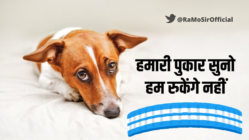 Itz_ashish_raz's tweet photo. #CancelAllBoardExams
#CANCELALLBOARDEXAMS2021 
Students depression mein hai 😓
Up board students 
We Need Your HELP! @SonuSood               #CancelAllBoardExams #DontPostponeBoards #InternalAssessmentForAll 
@myogiadityanath 
@drdineshbjp 
@UPGovt 
@anubha1812 
@TheAnuragTyagi https://t.co/9NN4KakkAr