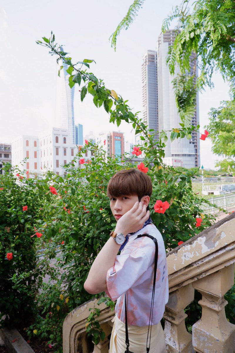 🌺🌺🌺