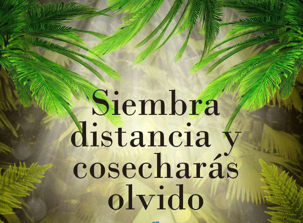 Paulo Coelho Español (@paulocoelhodice) on Twitter photo 
