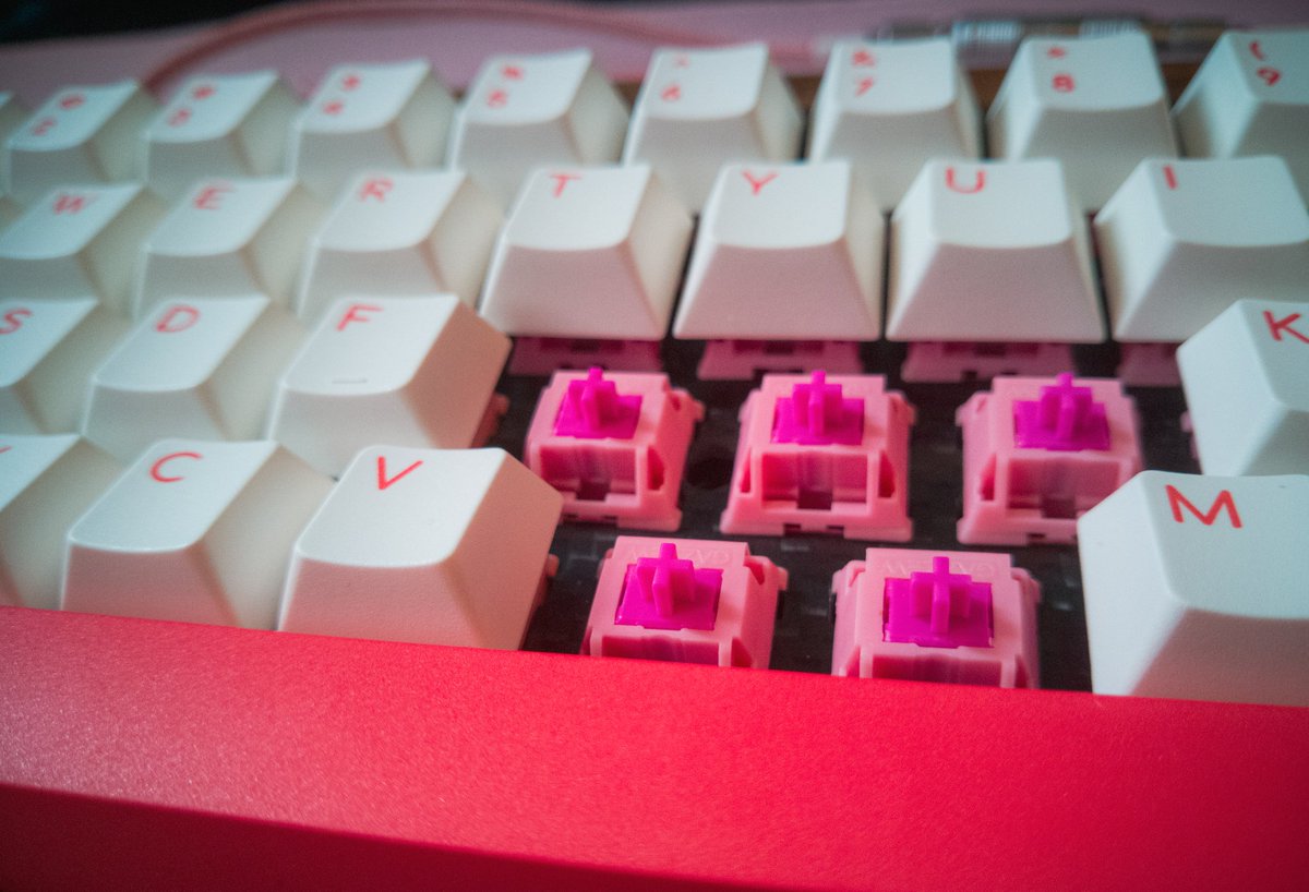 keebary1's tweet image. 🍑Pink on Peaches🍑

De las pocas veces que veréis combinar 2 colores que no tienen nada que ver 😍

#customkeyboard #customcable #customsetup #peaches #Pink #silent @XiaomiEspana