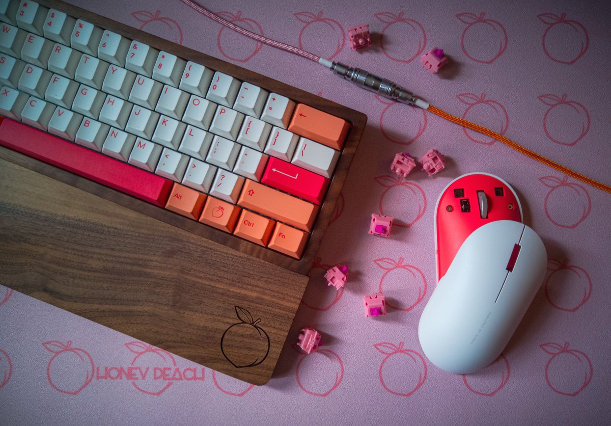 keebary1's tweet image. 🍑Pink on Peaches🍑

De las pocas veces que veréis combinar 2 colores que no tienen nada que ver 😍

#customkeyboard #customcable #customsetup #peaches #Pink #silent @XiaomiEspana