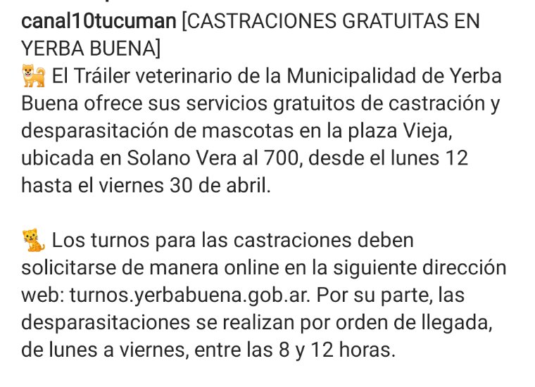 NicoleTrivinio's tweet image. CASTRACIÓN DE MASCOTAS GRATUITA EN YB!! Compartir 🐾