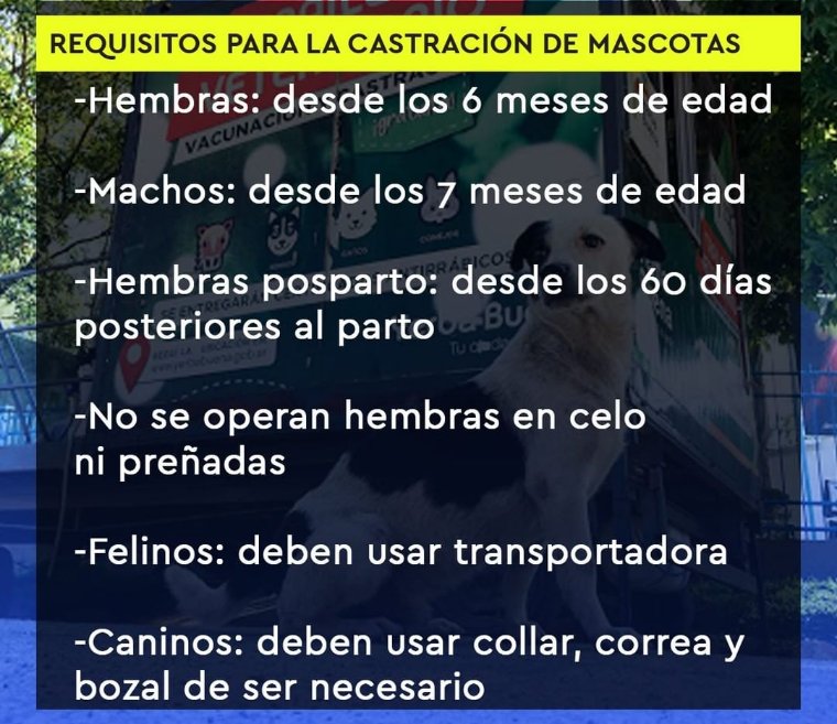 NicoleTrivinio's tweet image. CASTRACIÓN DE MASCOTAS GRATUITA EN YB!! Compartir 🐾