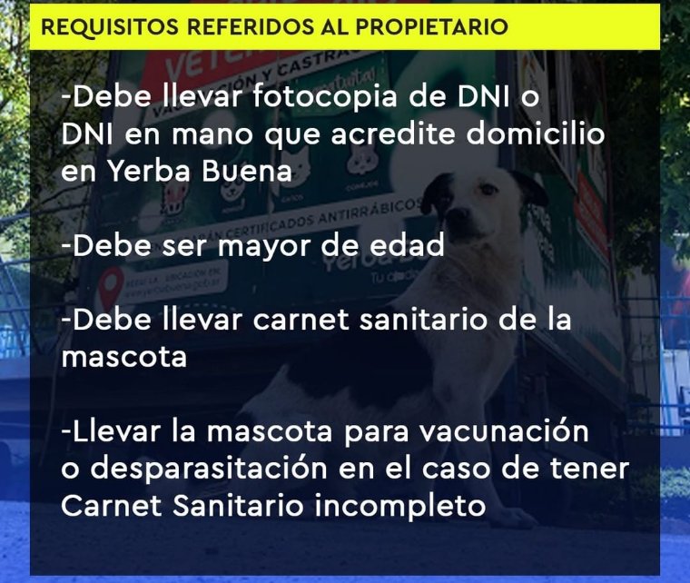 NicoleTrivinio's tweet image. CASTRACIÓN DE MASCOTAS GRATUITA EN YB!! Compartir 🐾