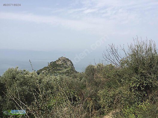 GÖLMANZARALI ZEYTIN BAHCESI KÖŞE PARSEL
İlan No: 920716924
sahibinden.com/ilan/emlak-ars…