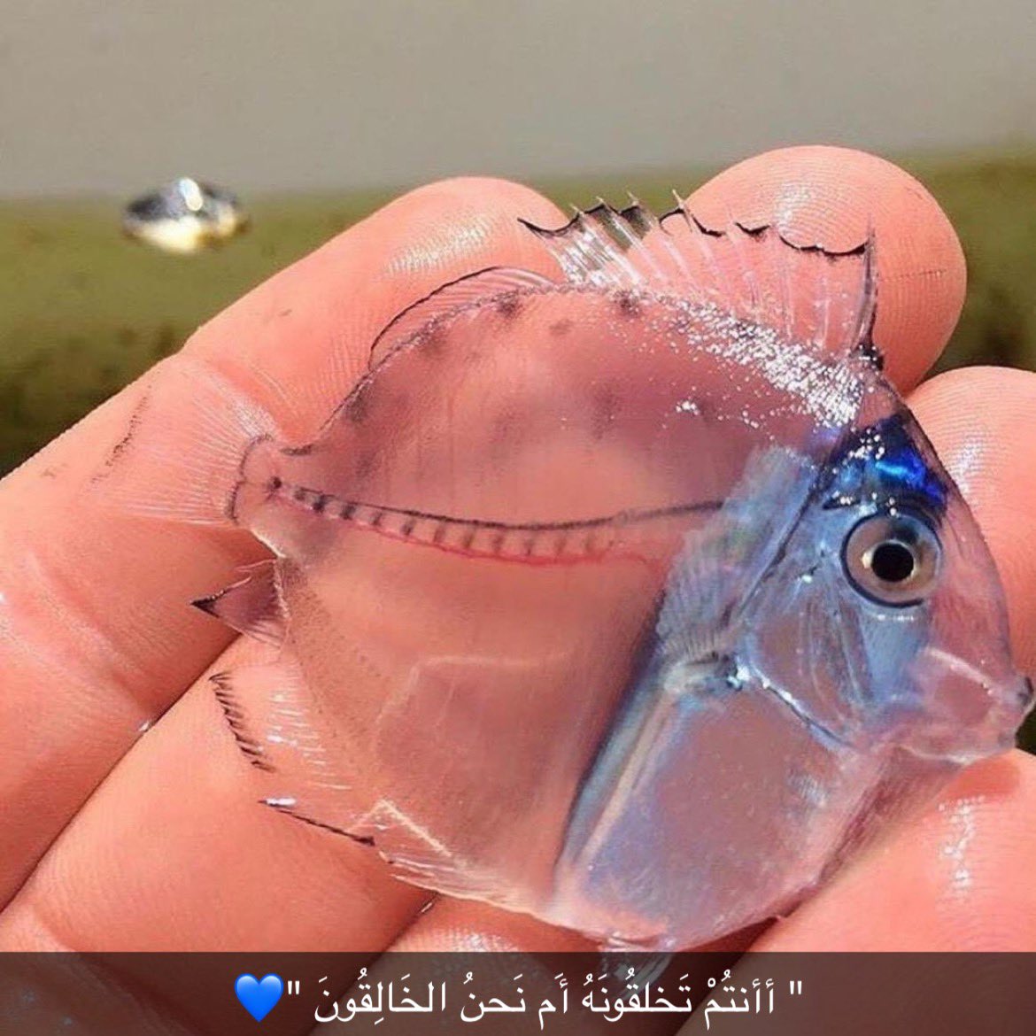 @@@@ (@zaynab_gh8) on Twitter photo 