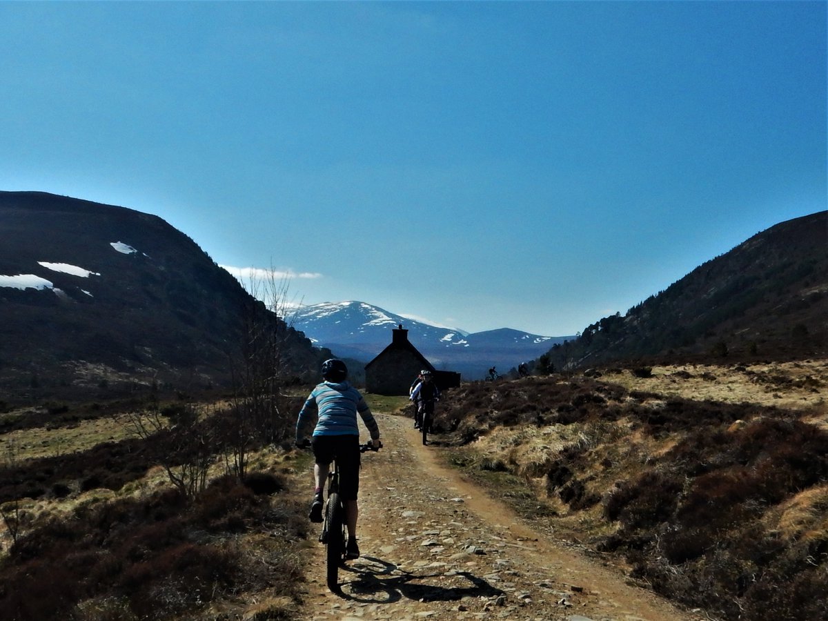 PeteCrane5's tweet photo. Great to see so many people safely enjoying #Cairngorms today on our ride out to #Ryvoan & back along #OldLoggingWay & #SpeysideWay
#CairngormsTogether #RespectProtectEnjoy https://t.co/ftkDH0H1Yy