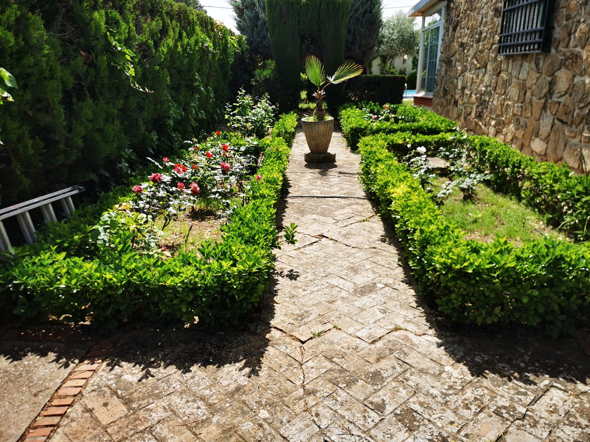 explotacionyser's tweet photo. Diferentes trabajos de mantenimientos 🌳 https://t.co/YFQFdkL79b