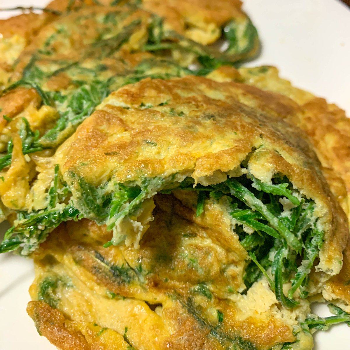 nanasolutionsco's tweet photo. Hunger overtook creativity when it came to cooking #farm fresh harvested CLIMBINE WATTLE. Tht &amp; maybe a bit of laziness. Opted for a simple omelette. Beat a few🥚🥚smidgen of salt  &amp; fish sauce into a froth. Add tender CW shoots &amp; mix well B4 pouring into med-heated pan... 1/3 https://t.co/MruuCpOFmL