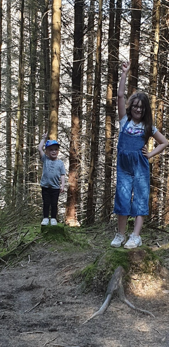 trevorcowin's tweet photo. A wee trek from Callander up to Bracklinn falls with a couple of the grandsproggs this afternoon, lots of "who's that trip trapping over my bridge" goings on πβ€ #3BillyGoatsGruff #KinshipCare #outdoor #freedom https://t.co/BHW421MmfK