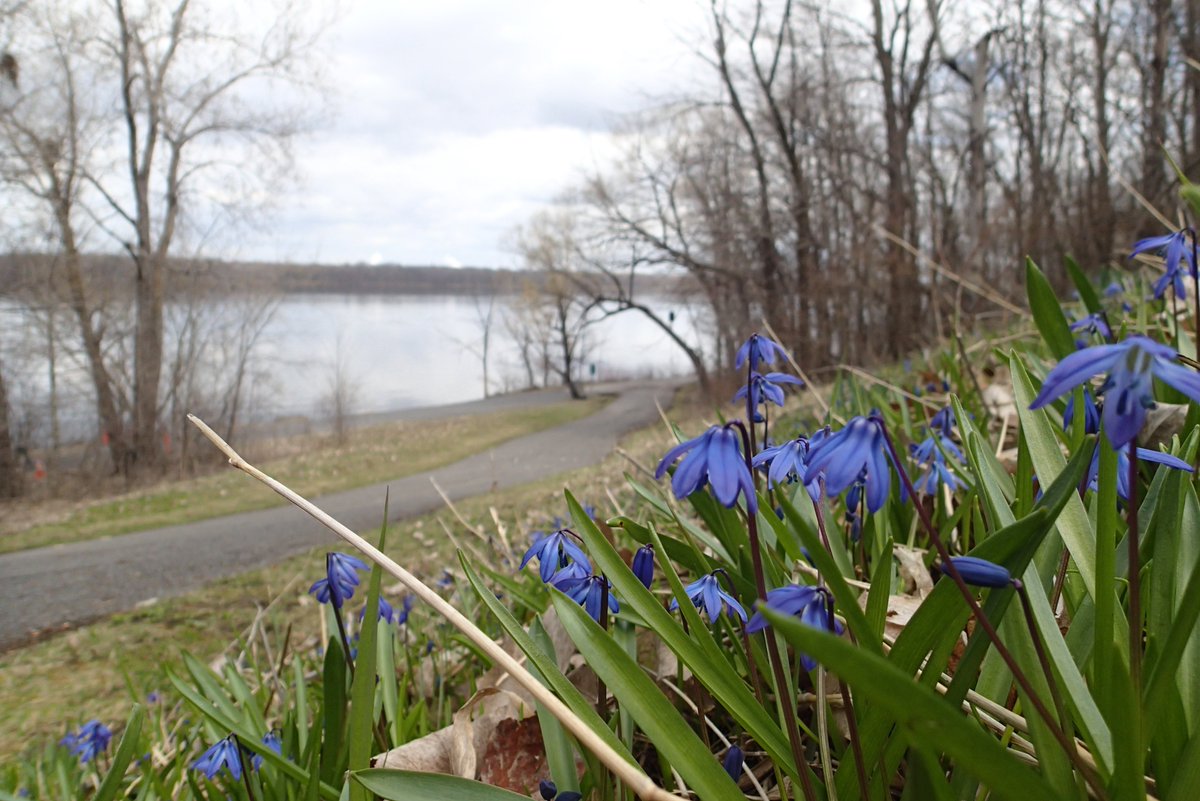 MortenLidegaard's tweet image. Fantastic weather for a 27k run along the Ottawa River😀Avg. pace: 5:29min/km. 
Hope you've had a great Saturday!
#TeamNuun @nuunhydration 
#IStartHere @OttawaMarathon @runottawa 
#mmrun 53+54/100 @MegaMeterRun 
#MyOttawa