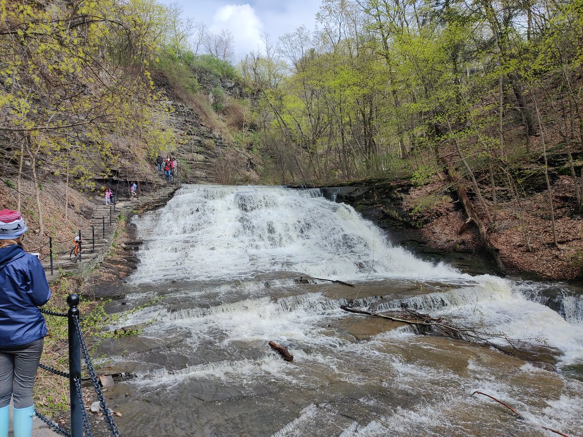 extremely good spring vibes walk around town this afternoon