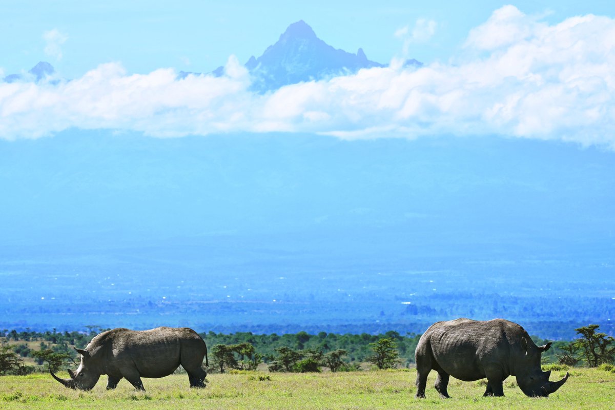 Diagnosing overtourism is easier than finding a cure.Its contraction has been tough in smaller, emerging-market countries. Some ecologically fragile regions saw devastating increases in wildlife poaching as tourists stayed home during the pandemic  http://trib.al/7L5ymTd 