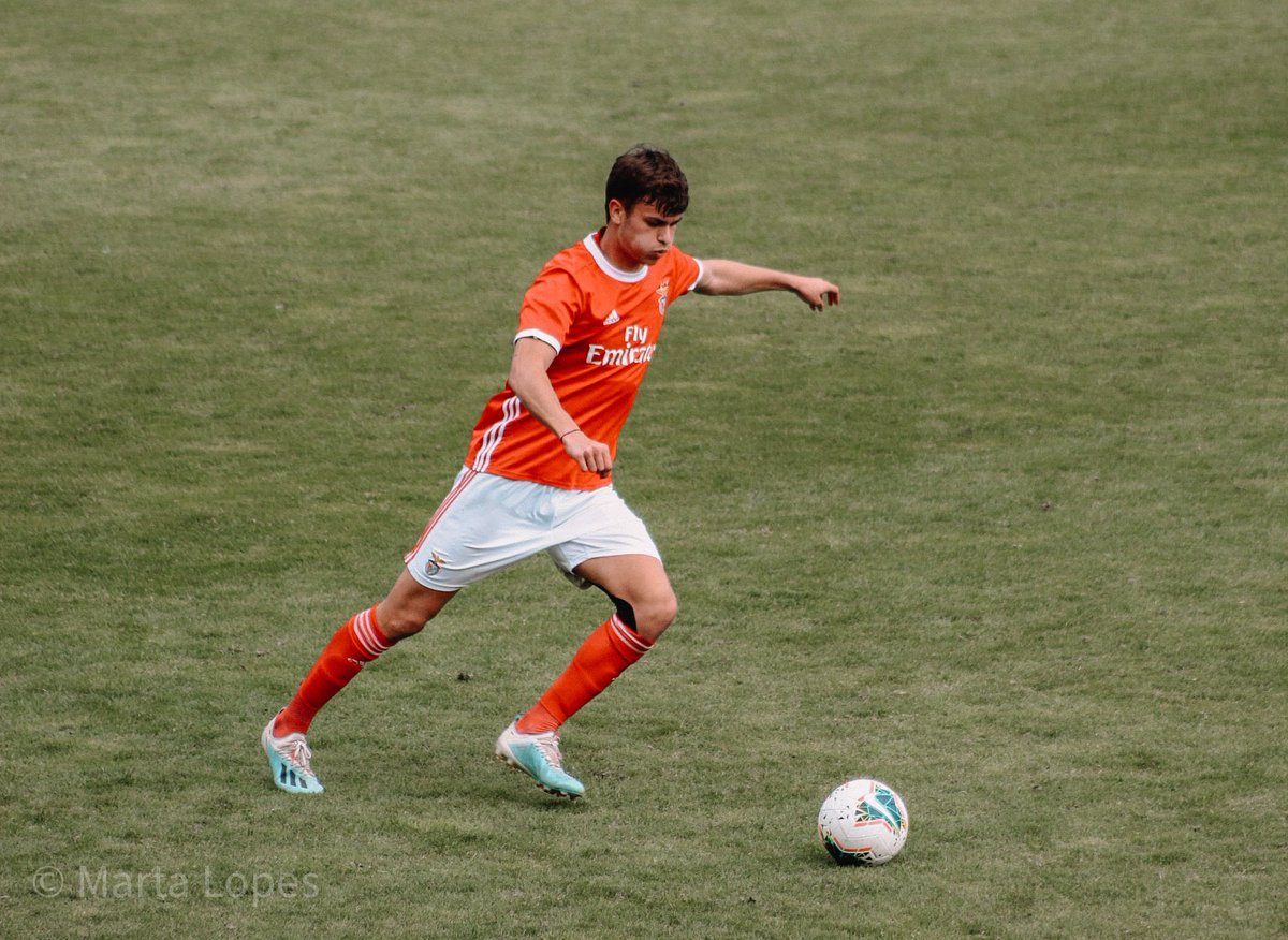 martalopesph's tweet image. Parabéns @miguelrnobrega