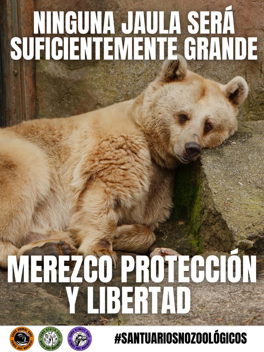 Los ciudadanos exigimos la transformación de el zoológico de chapultepec a santuario @AlessandraRojoDeLaVega @jesusardgz @ClaudiaShein #SantuariosNoZoologicos #NoCautiverio #ReformaLeyGeneralDeVidaSilvestre