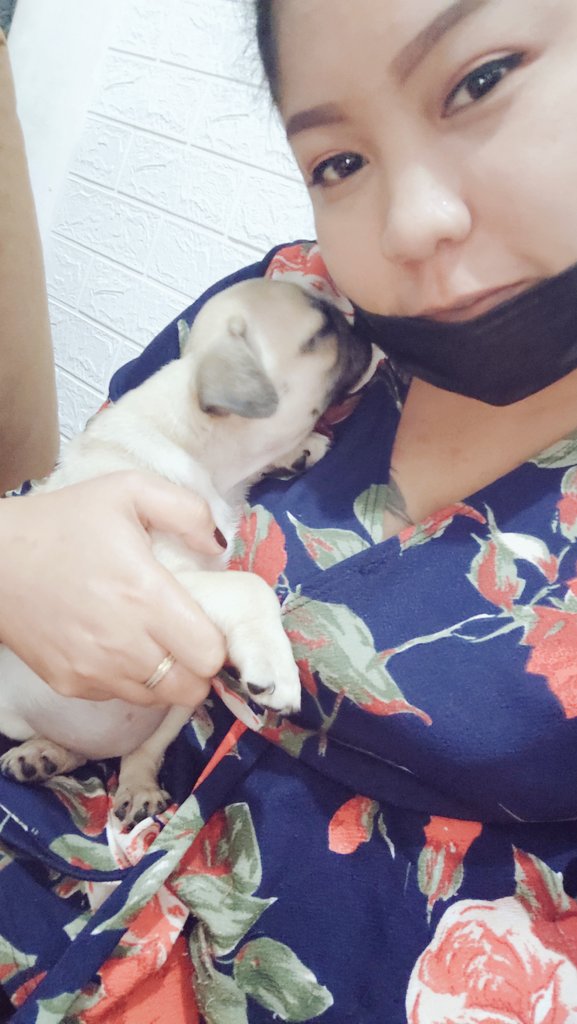 PNarkdee's tweet photo. น้อนง่วง หนูจานอน5555 แกล่งไม่ให้นอน https://t.co/exlRZb5S82