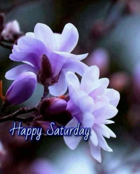 TahaAnis7's tweet photo. @terreinarkansas 😊💜💙🌺💚🍀💗 https://t.co/shFklycbLW