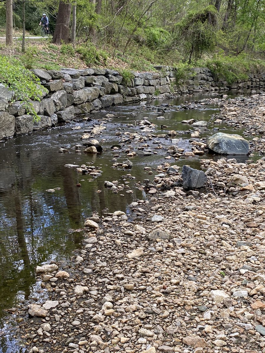 WWESPrincipal1's tweet photo. 2/3: This is how our nature-influenced treasures can look when we care. Thankful for @wwes_pta hosting this Community Cleanup Project at the Matthew Henson Trail. Teaching kids how to maintain the environment! 🙌🏽🎉🐾🌿❣️#wildcatscare @WheatonWoods https://t.co/r45j53s89l
