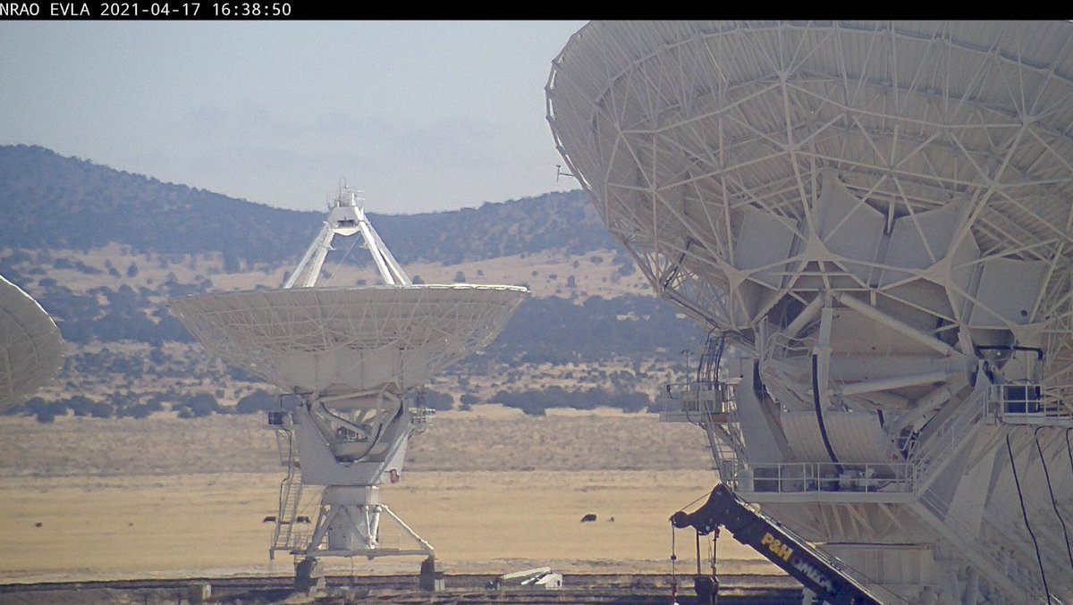 TheNRAO's tweet image. Up close (but not personal)🤳

Today on NRAO&apos;s #VeryLargeArray webcam: public.nrao.edu/vla-webcam/