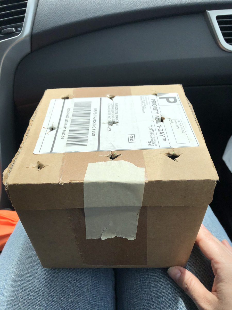 Bird Rescue Update #4

Road trip to <a href="/waterfowlrescue/">Carolina Waterfowl</a>. We’re coming!