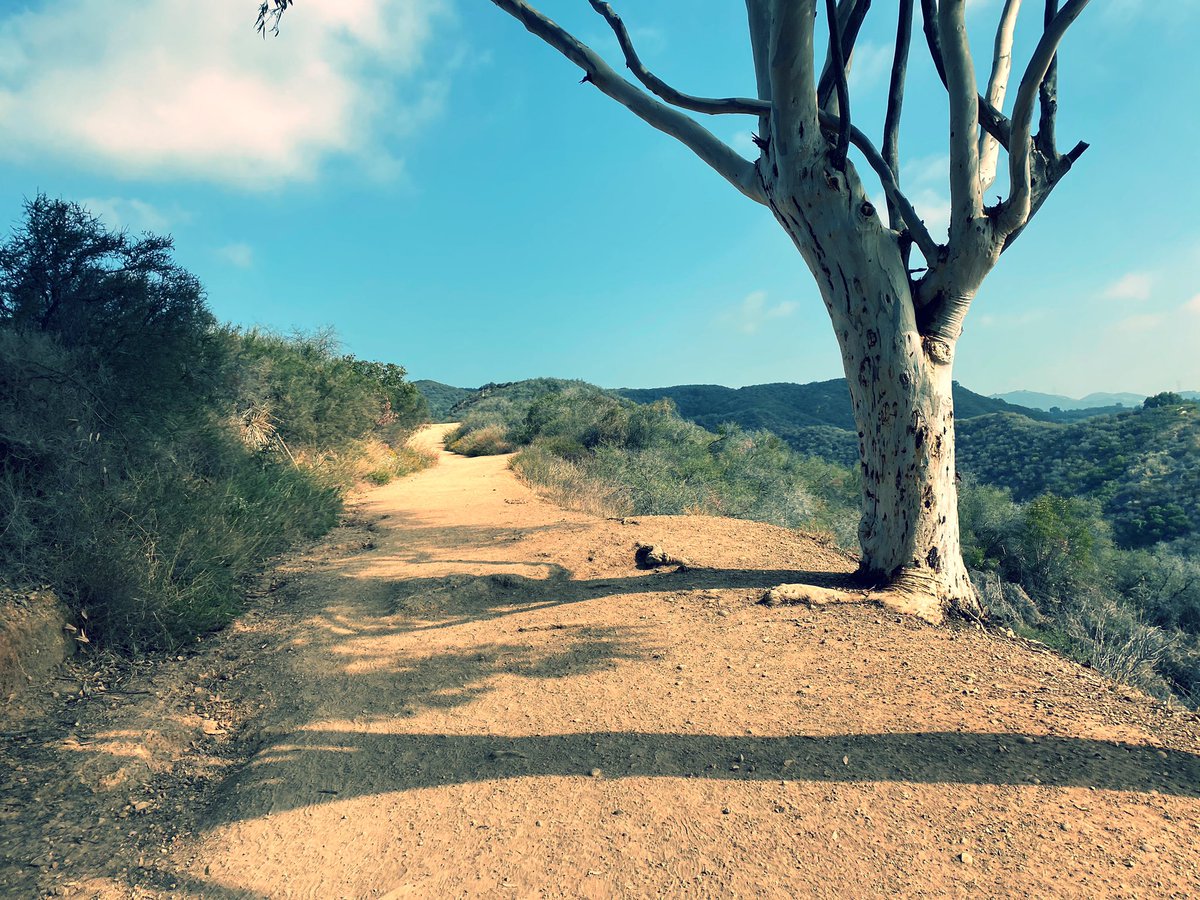 merkleseeds's tweet photo. Morning hikes in Cali are my new favorite thing. What a pretty state https://t.co/3yMdxZDqLO