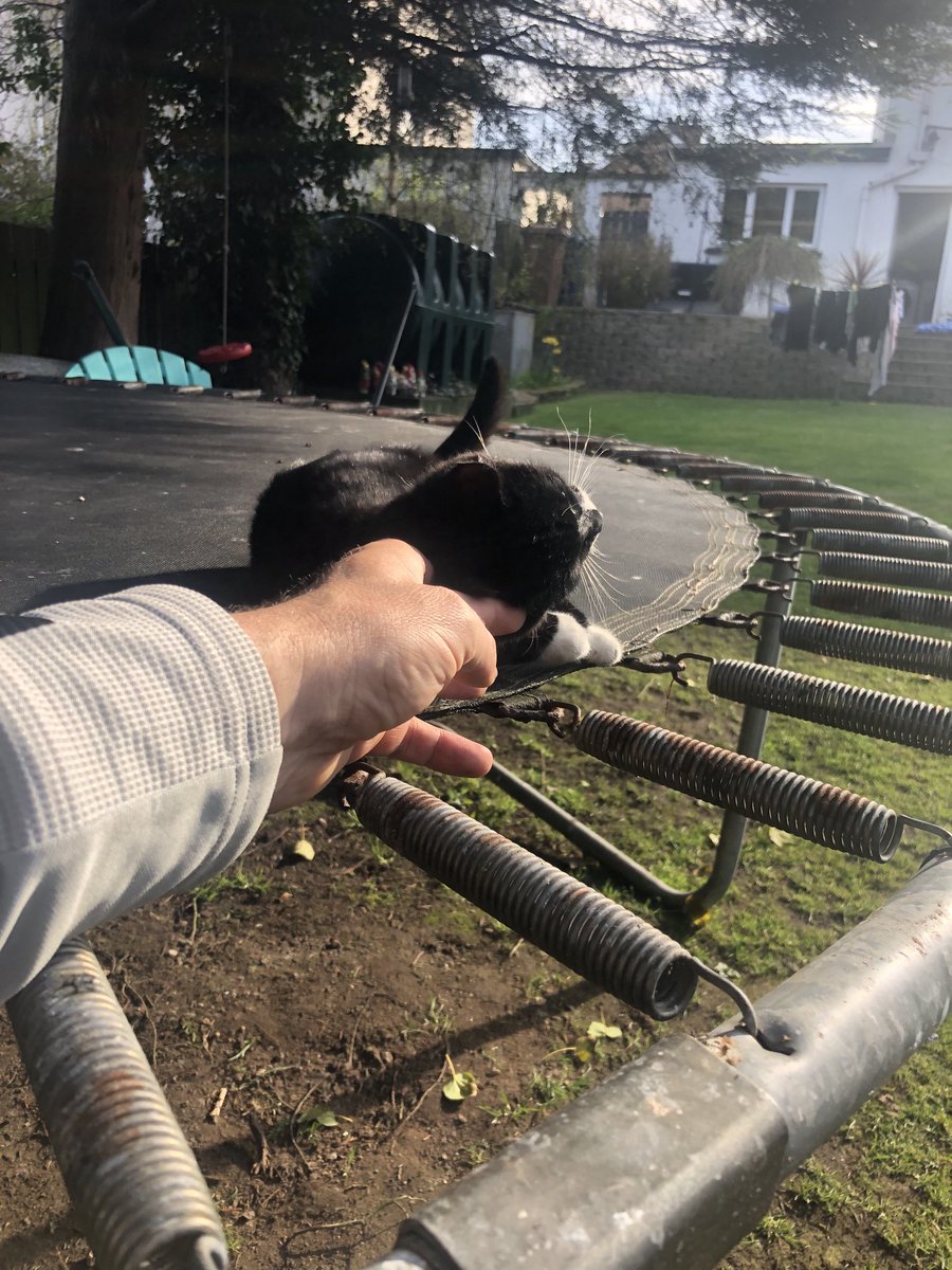 Murphy5Alan's tweet photo. Think Iโve got long covid! I now like running,cats,gherkins,marmalade and garden gnomes #madyear ๐ https://t.co/VmrqUinjcj