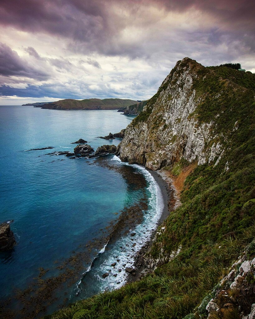 couplesmap's tweet image. Roaring bay, The Catlins – New Zealand [oc][4000×5000] #Nature, EarthPorn