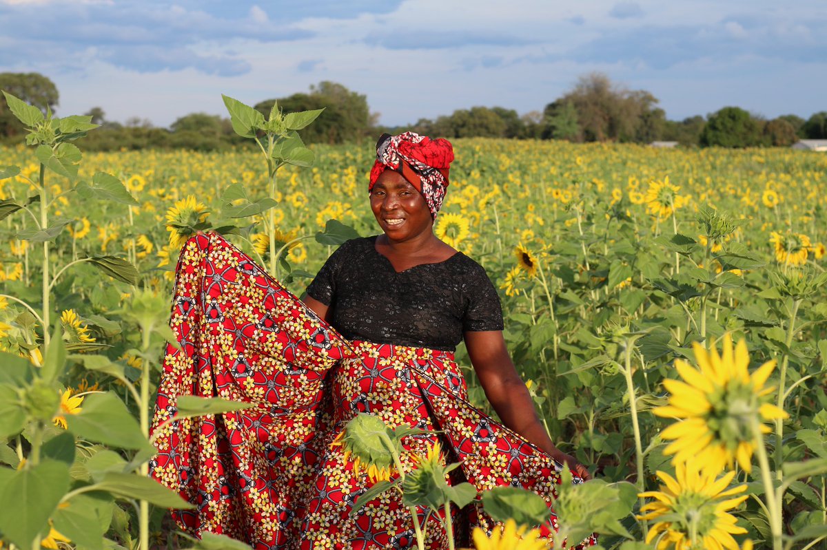 The Patterns of our Hearts 🌻💖🌻

Chitenge Cheer with our always fabulous Lodge Housekeeper &amp; Royal Chundu family member, Stella Cool ❤️ playing in the sunflower fields with the birds and bees 🐝

#theroyalchunduexperience 
#zambezi #zambia 
#relaischateaux <a href="/ZambeziJoySoc/">Zambezi Joy Society</a>
