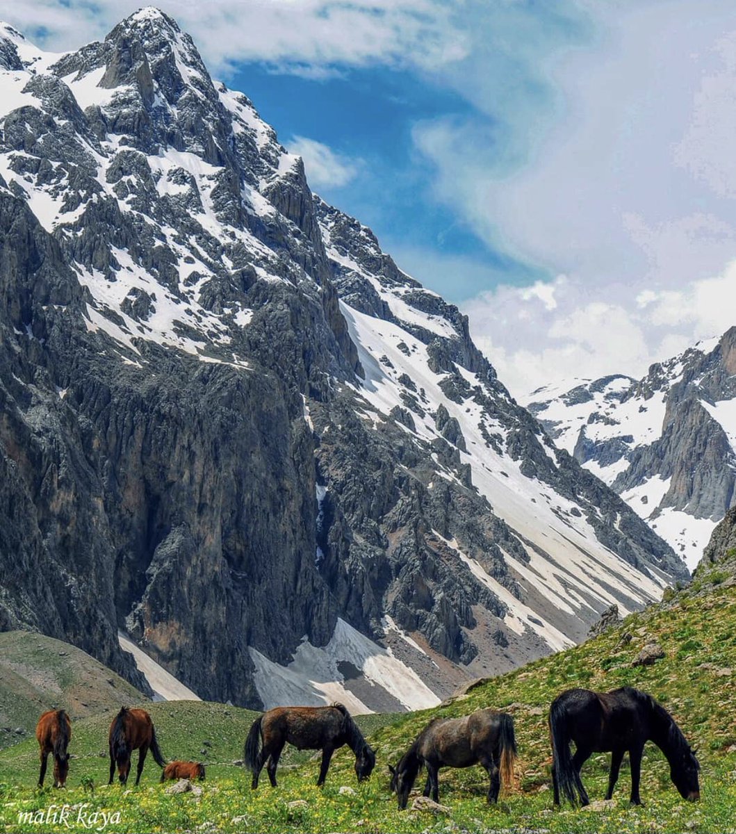 AcarUmut's tweet photo. #ColorsofTurkey
#Tunceli
@GoTurkiye ๐น๐ท๐งฟ
๐ท Malik Kaya IG https://t.co/e2NQhLJald