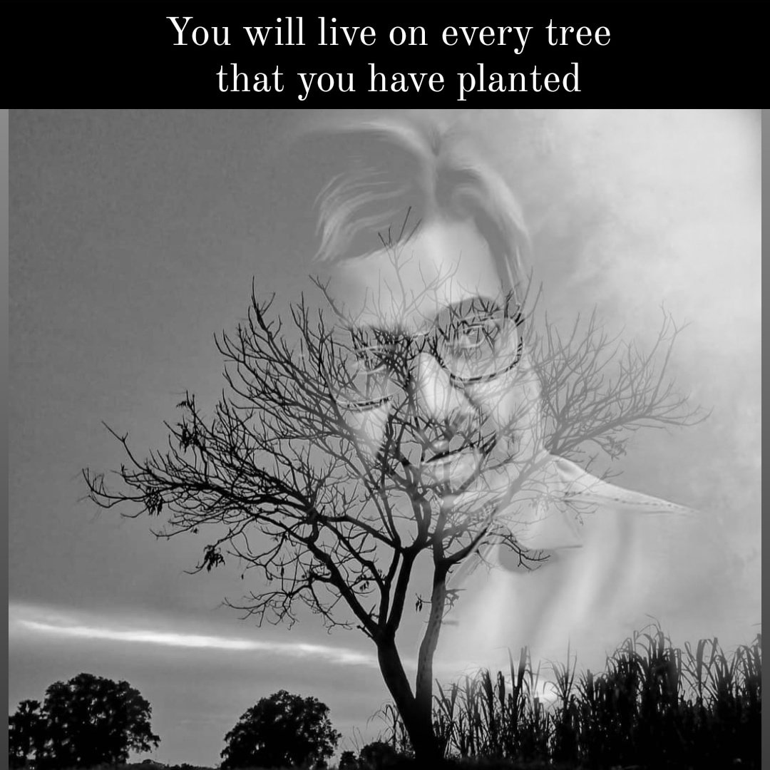 karuvadgraphy's tweet photo. you will always live on the trees that you have planted... @Actor_Vivek 
#RipVivek #legendVivek #planttrees https://t.co/rINp2G8lxg