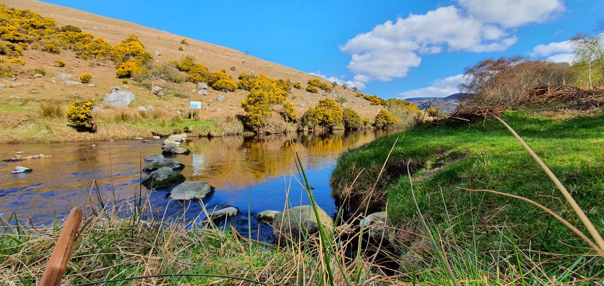 C_Krummel_IE's tweet photo. #luggala #ireland #getoutdoors #beautifulday #loughdan https://t.co/NmIrxpHOQ0