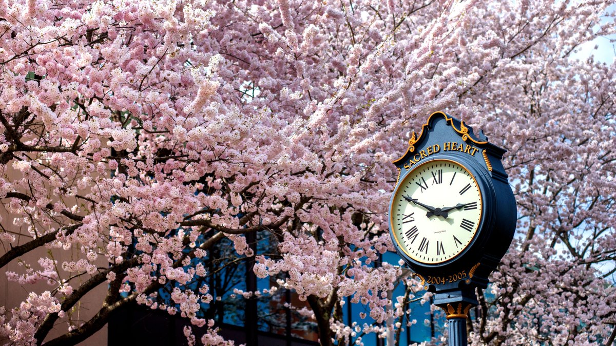SacredHeartAlum's tweet photo. Thought your TIME line could use this view 🕰️🌸

#SHUAlumni #WeAreSHU #SHUView #Spring https://t.co/jLK6cJUmVq