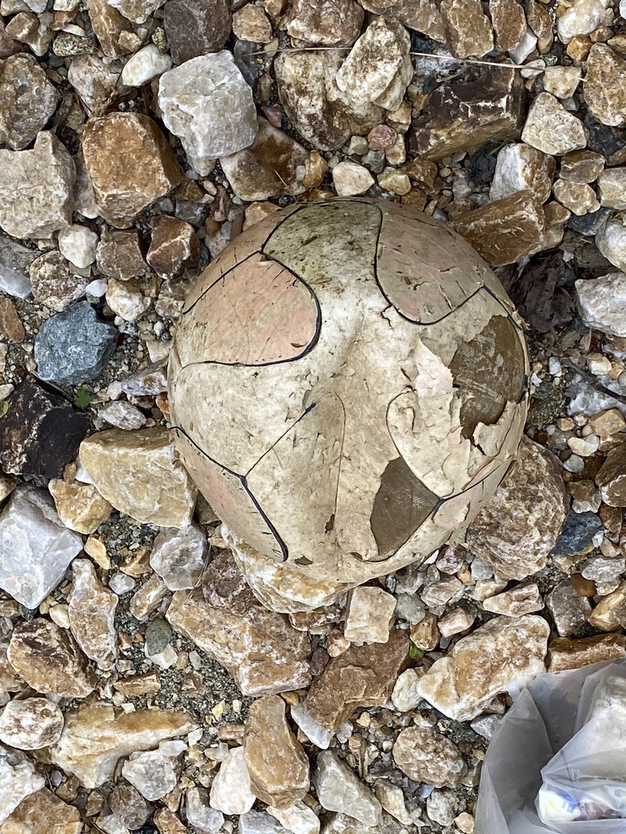 WWESPrincipal1's tweet photo. 2/3: This is how our nature-influenced treasures can look when we care. Thankful for @wwes_pta hosting this Community Cleanup Project at the Matthew Henson Trail. Teaching kids how to maintain the environment! 🙌🏽🎉🐾🌿❣️#wildcatscare @WheatonWoods https://t.co/r45j53s89l