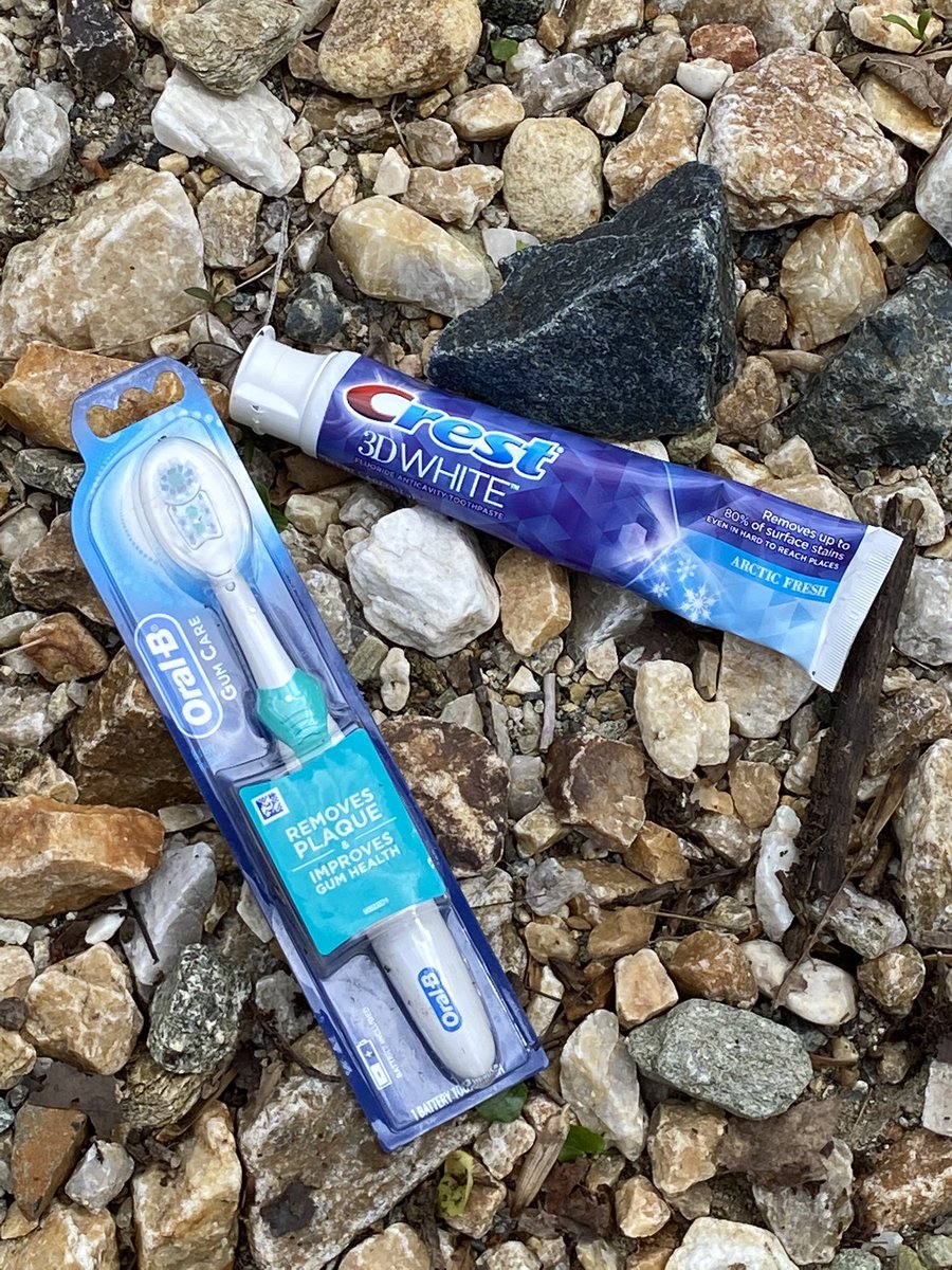 WWESPrincipal1's tweet photo. 2/3: This is how our nature-influenced treasures can look when we care. Thankful for @wwes_pta hosting this Community Cleanup Project at the Matthew Henson Trail. Teaching kids how to maintain the environment! 🙌🏽🎉🐾🌿❣️#wildcatscare @WheatonWoods https://t.co/r45j53s89l