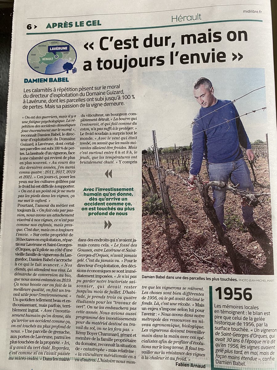 JeanGuizard's tweet photo. ✍️ Un bel article avec une interview de Damien Babel du Domaine Guizard dans le numéro spécial du Midi Libre sur les conséquences du gel dévastateur dans les vignes en @GdMontpellier, Vins @VinsPaysdOcIGP 👌
 #gel #languedoc #domaineguizard #presse #midilibre #vigne #vigneron https://t.co/m0MWyK9vTB