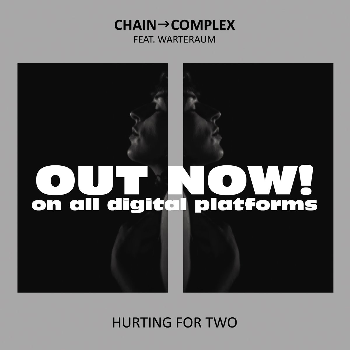 chaincomplex19's tweet photo. New single 'Hurting for Two' featuring WARTERAUM is out now on all major digital platforms. 

#NewRelease #NewSingle #NewMusic #electronicmusic #newwave #synth #WARTERAUM #chaincomplex https://t.co/ze5fZQjcoX