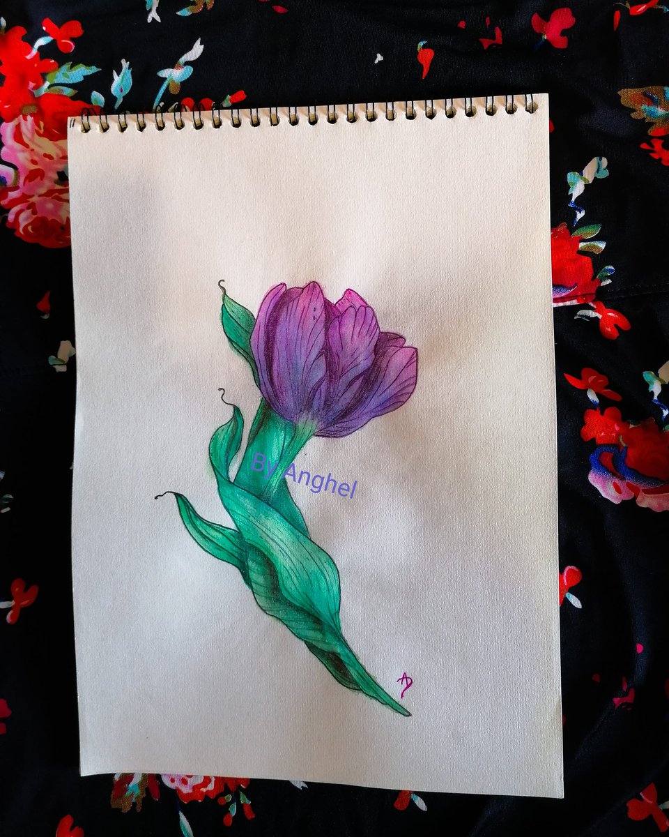 AnghellOFF's tweet image. 