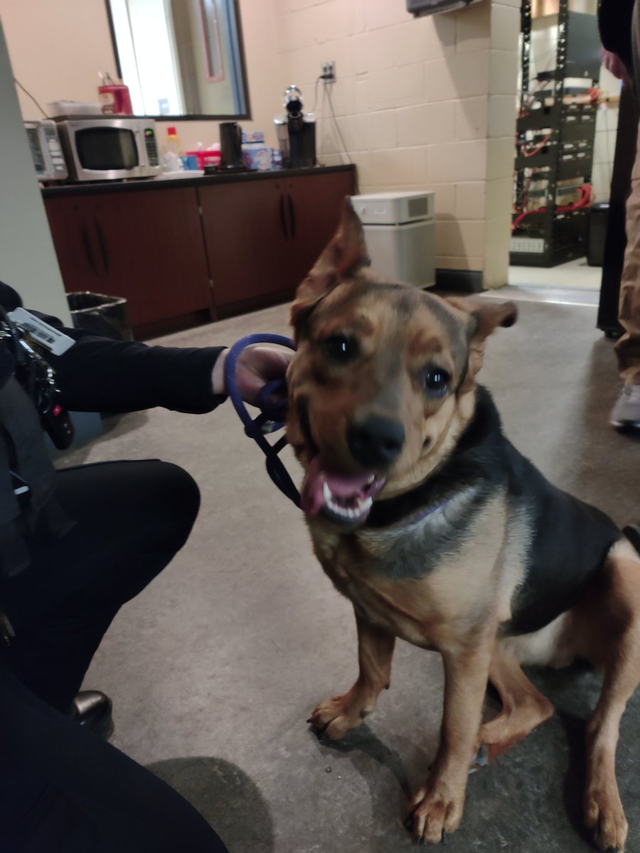 West Seneca Police tweet media