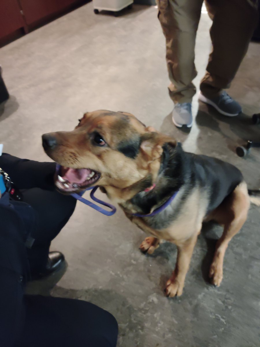 West Seneca Police tweet media