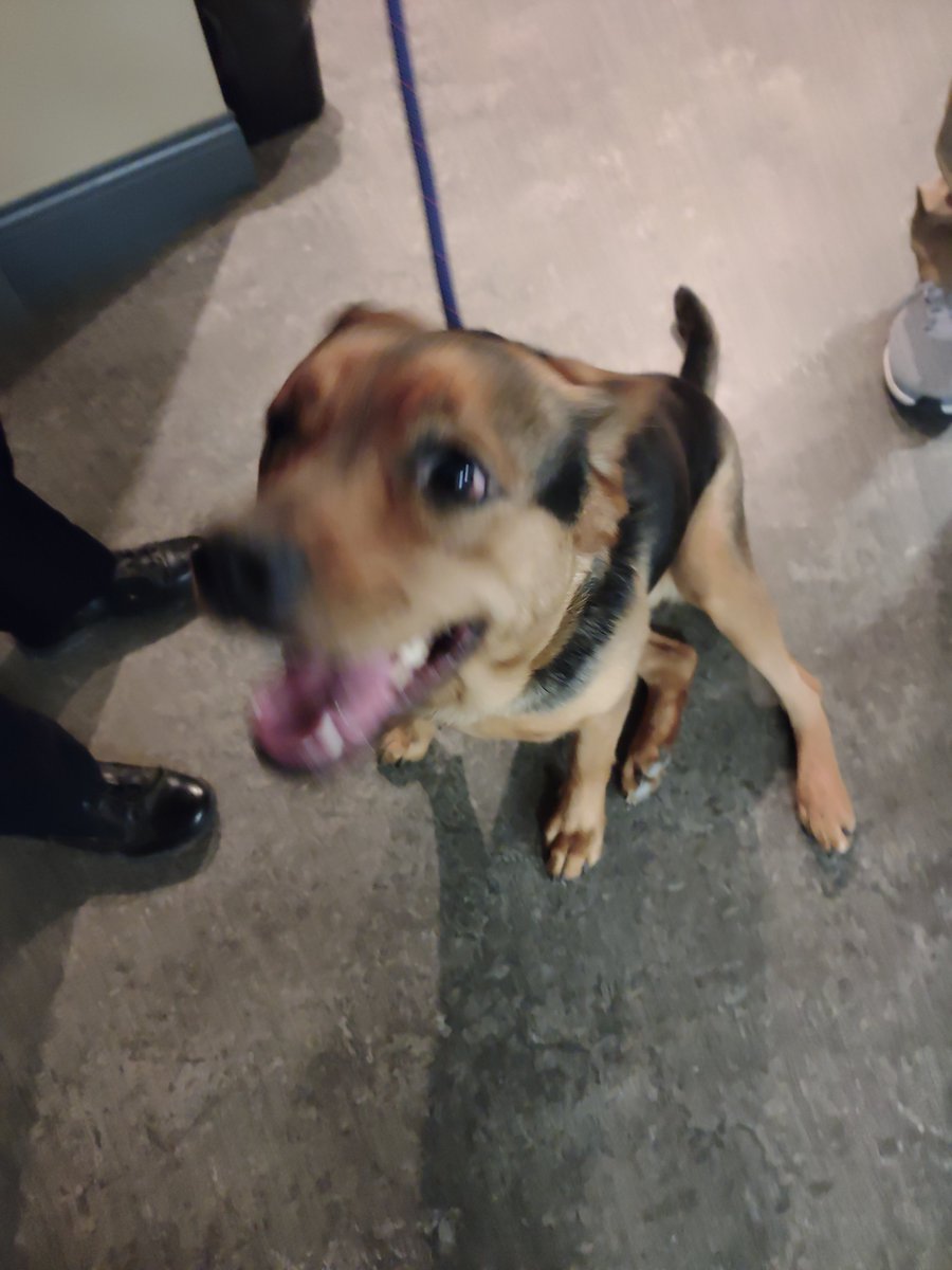 West Seneca Police tweet media